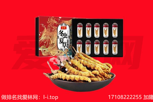 揭阳普宁市回收虫草.jpg